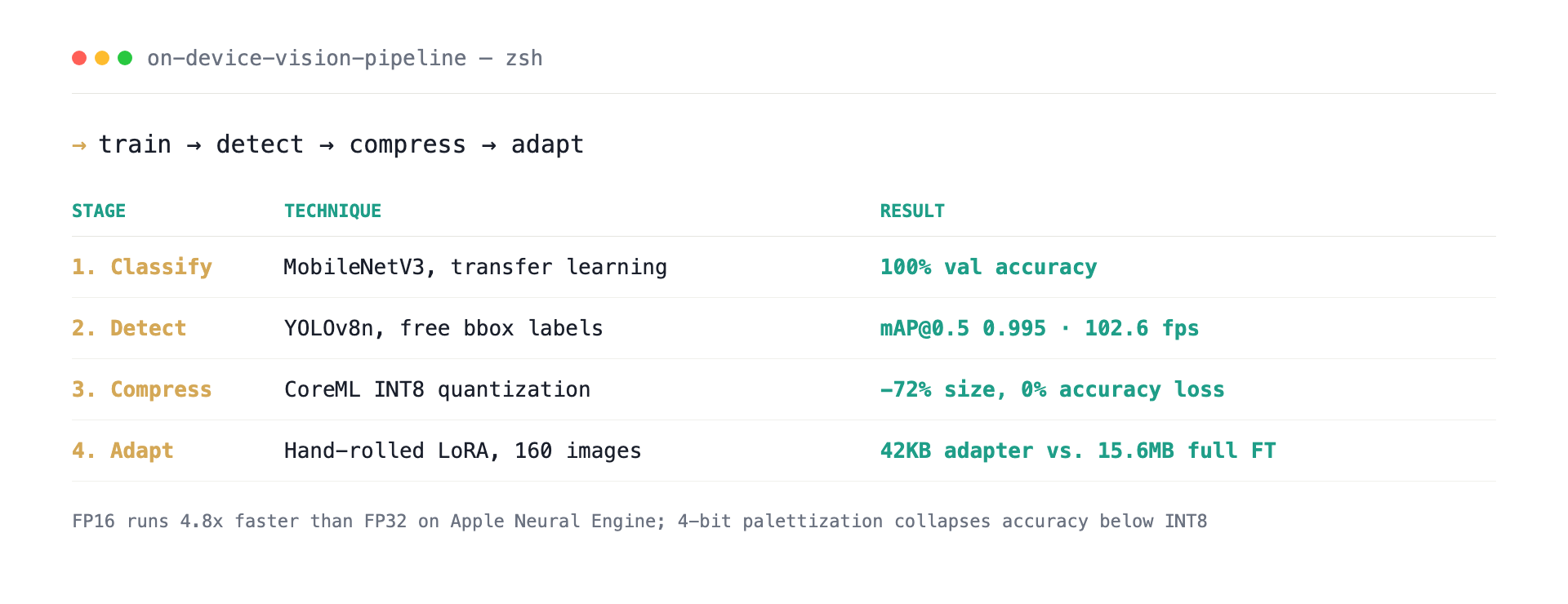 On-Device Vision Pipeline