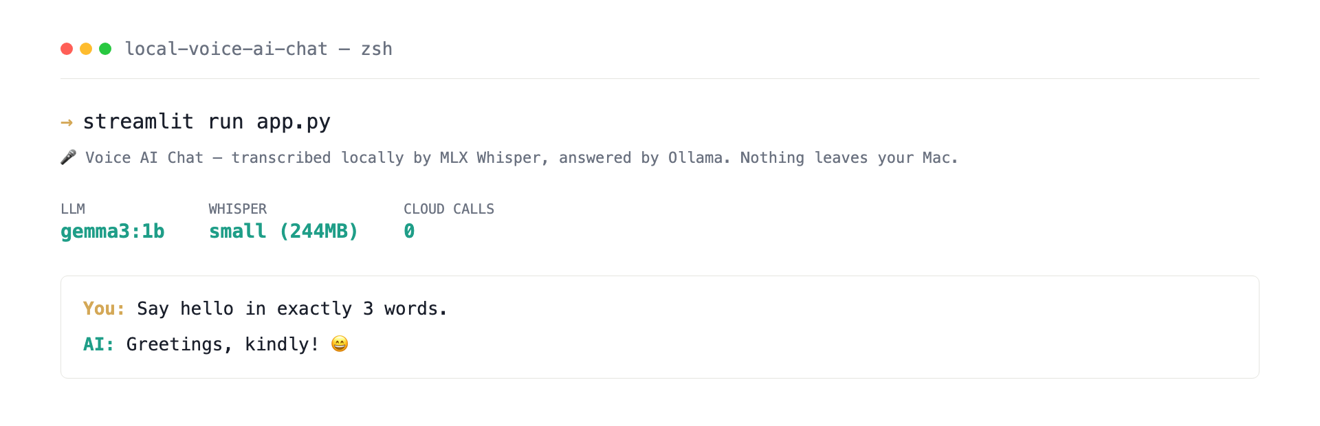 Local Voice AI Chat